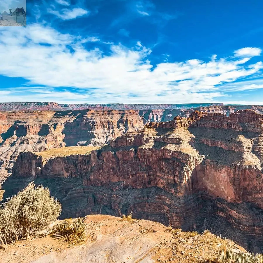 Vegas Grand Canyon Hoover Dam Lunch Skywalk 