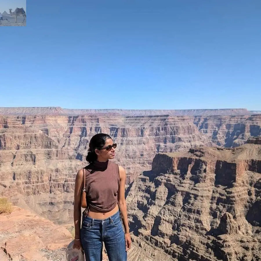 Vegas Grand Canyon Hoover Dam Lunch Skywalk 