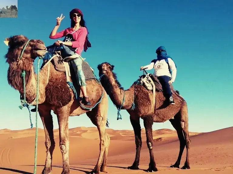 Wadi Rum Bubble Luxotel Campsite 