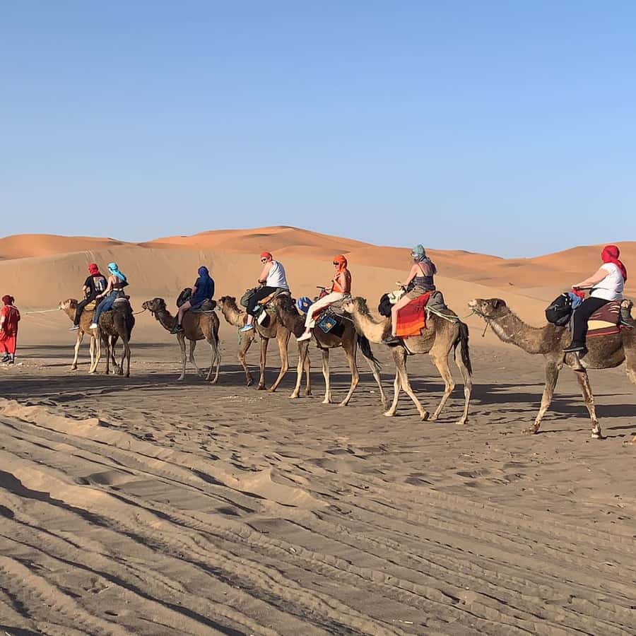 What is the Merzouga famous for things to do 