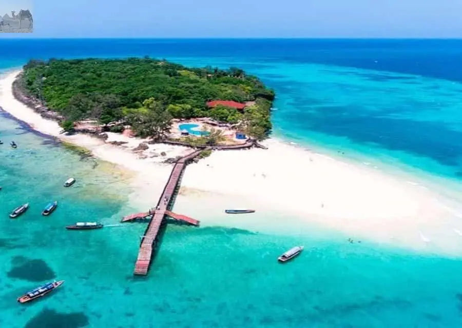 Zanzibar Prison Island and Nakupenda Boat Trip with Lunch