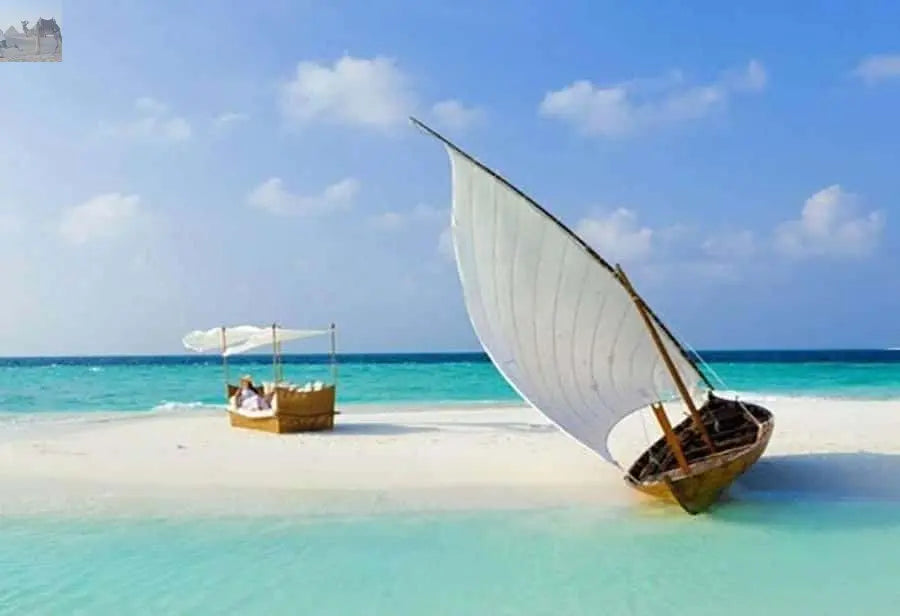 Zanzibar Prison Island and Nakupenda Boat Trip with Lunch 