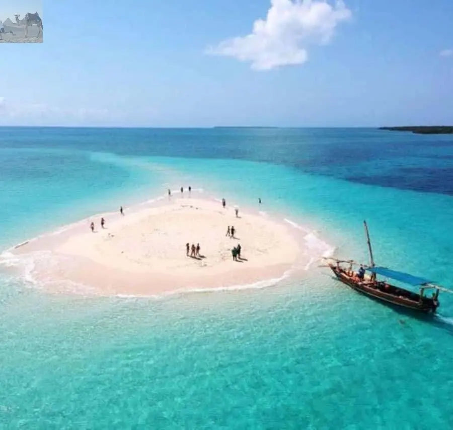 Zanzibar Prison Island and Nakupenda Boat Trip with Lunch 