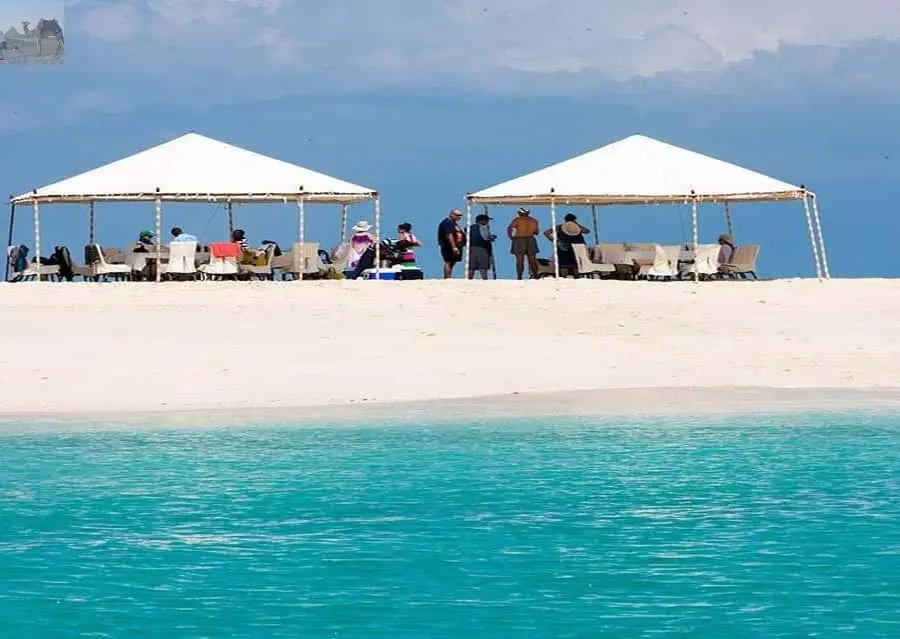 Zanzibar Prison Island and Nakupenda Boat Trip with Lunch 