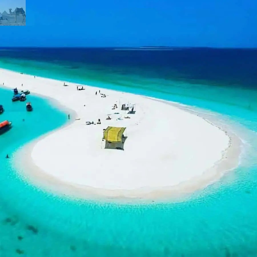 Zanzibar Prison Island and Nakupenda Boat Trip with Lunch 