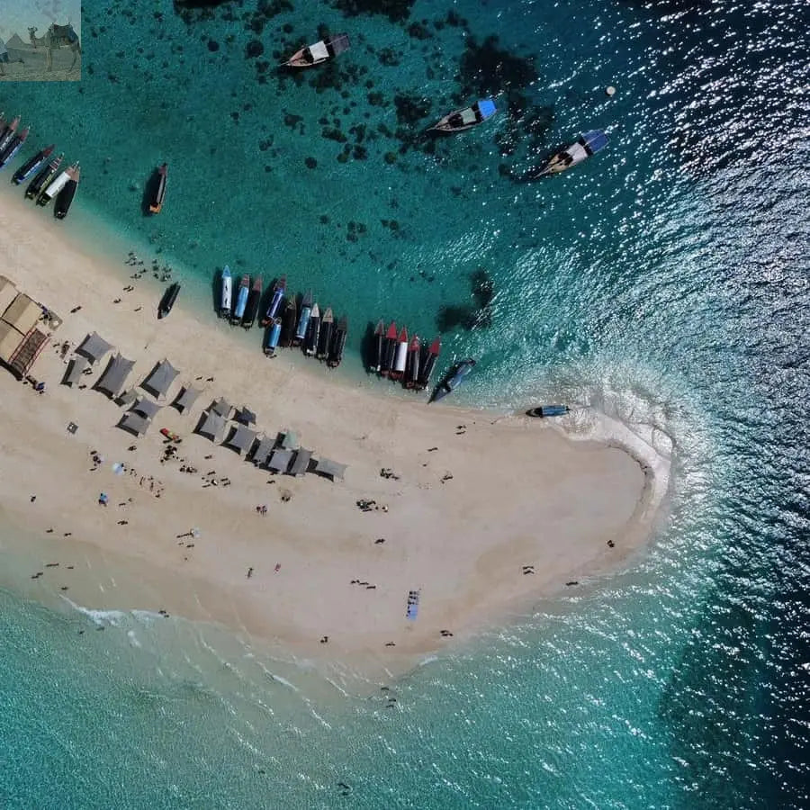 Zanzibar Prison Island and Nakupenda Boat Trip with Lunch 
