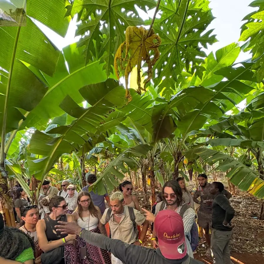 Zanzibar Quad Bike Adventure departing from Kendwa or Nungwi 