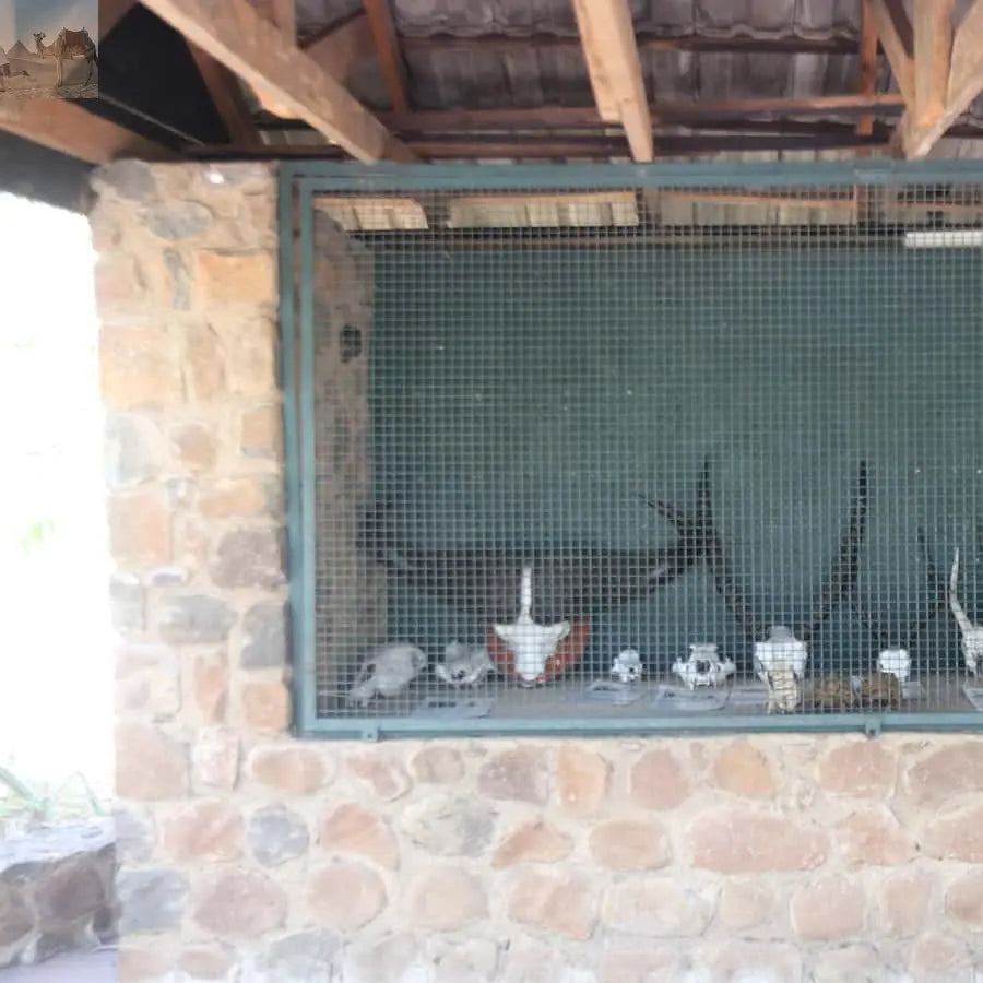 Zimbabwe Zambia Guided Tour of the Falls from Both Sides 