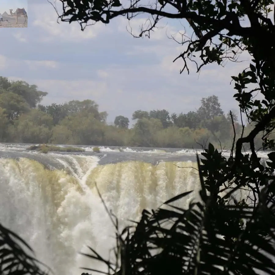 Zimbabwe Zambia Guided Tour of the Falls from Both Sides 
