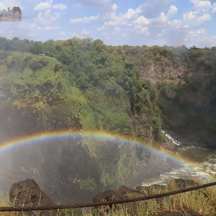 Zimbabwe Zambia Guided Tour of the Falls from Both Sides 