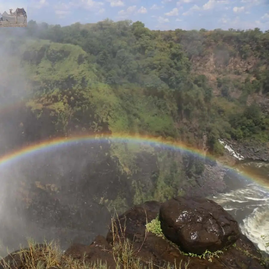 Zimbabwe Zambia Guided Tour of the Falls from Both Sides 