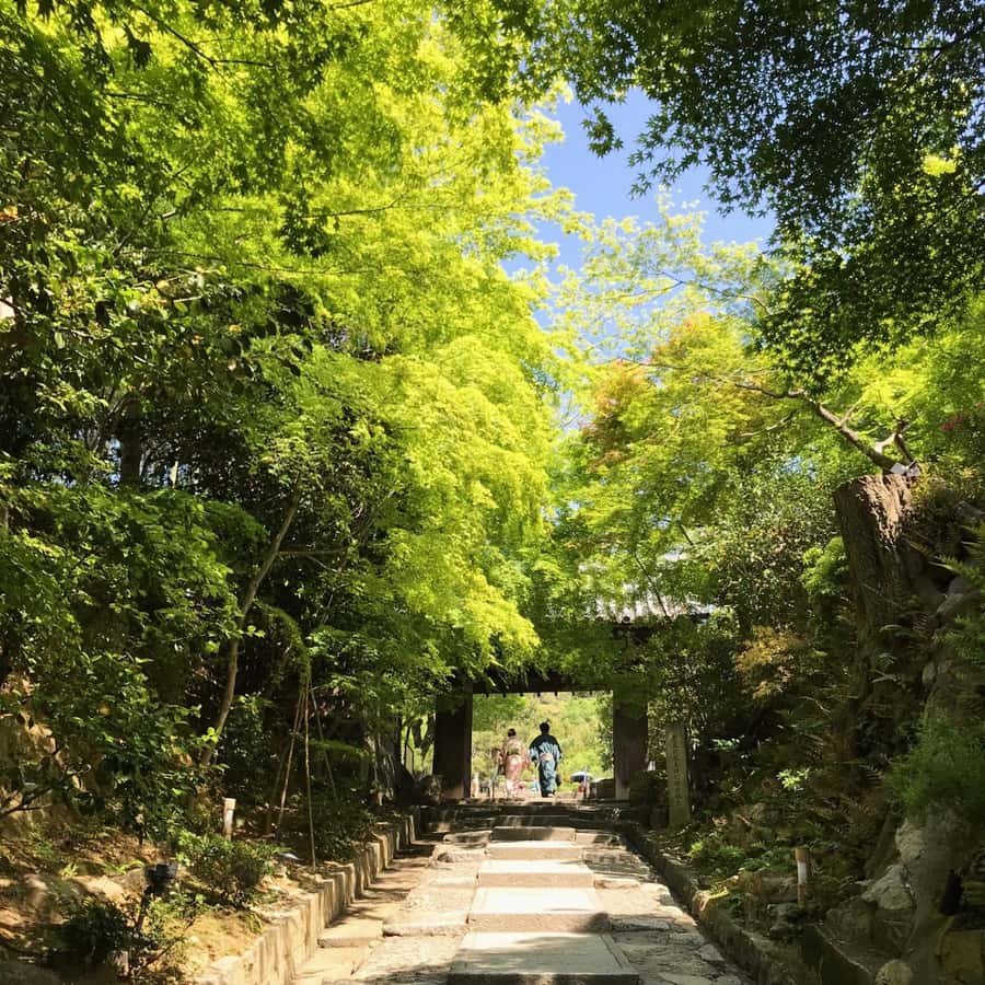 Kyoto: Gion Geisha District & Hidden Gems Walking Tour Hotels Booking Trips