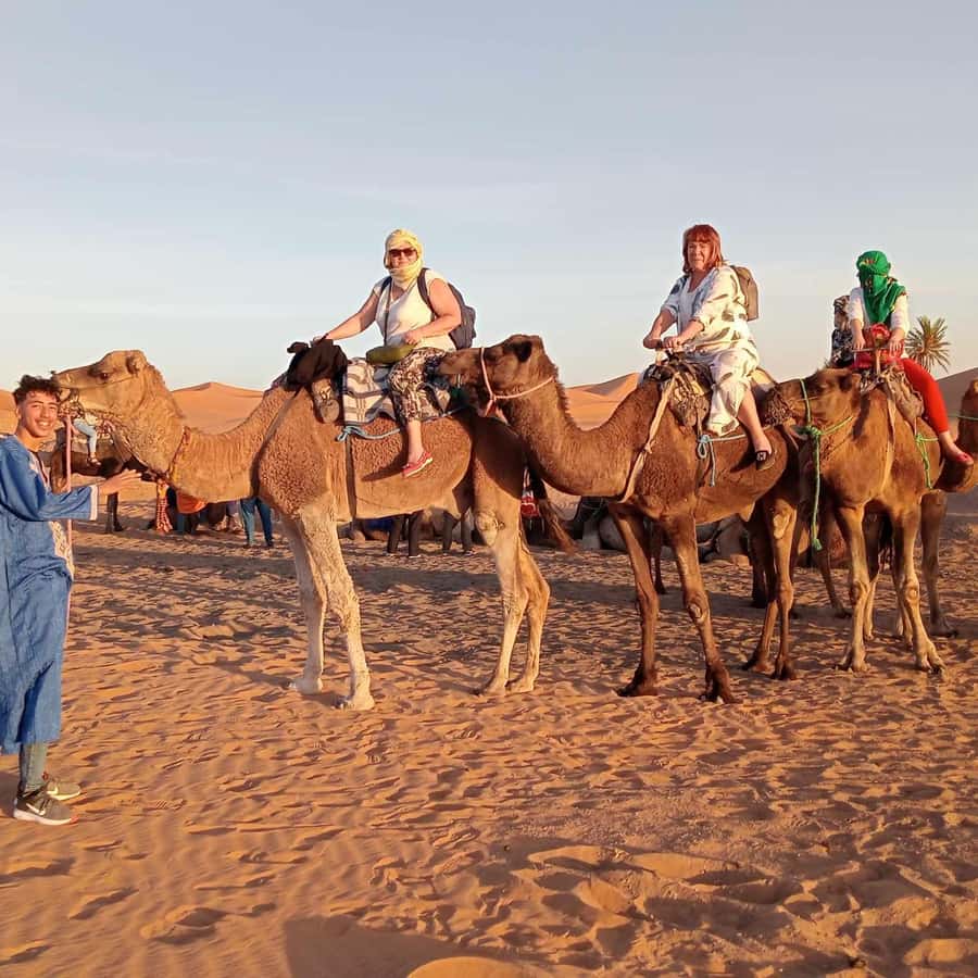 From Merzouga: Overnight Camel Trek over Erg Chebbi Dunes Hotels Booking Trips