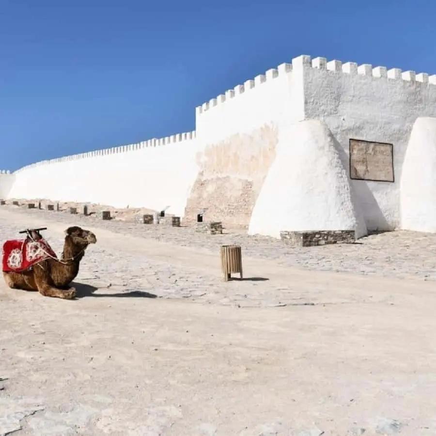 Agadir/Taghazout: Old Medina of Coco Polizzi and Agadir Tour Hotels Booking Trips