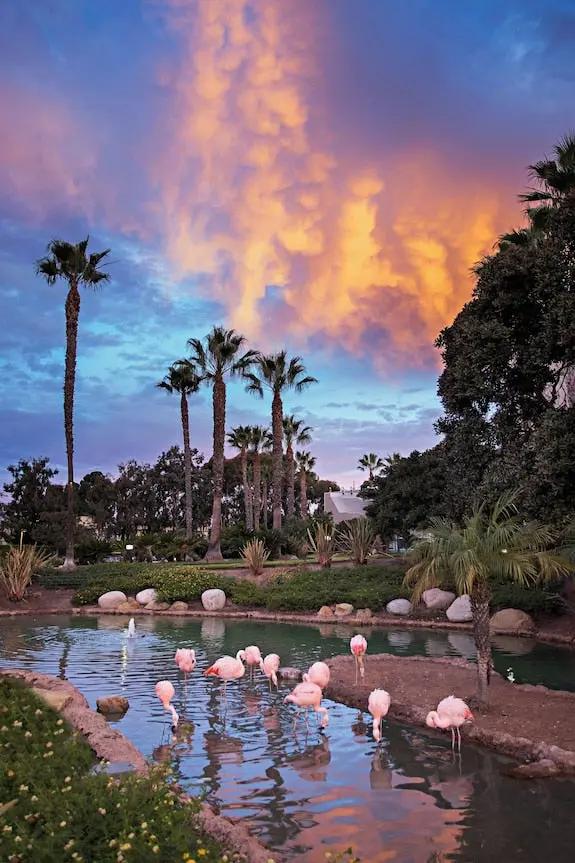 Coronado Island Marriott Resort & Spa Booking hotels accommodation trip