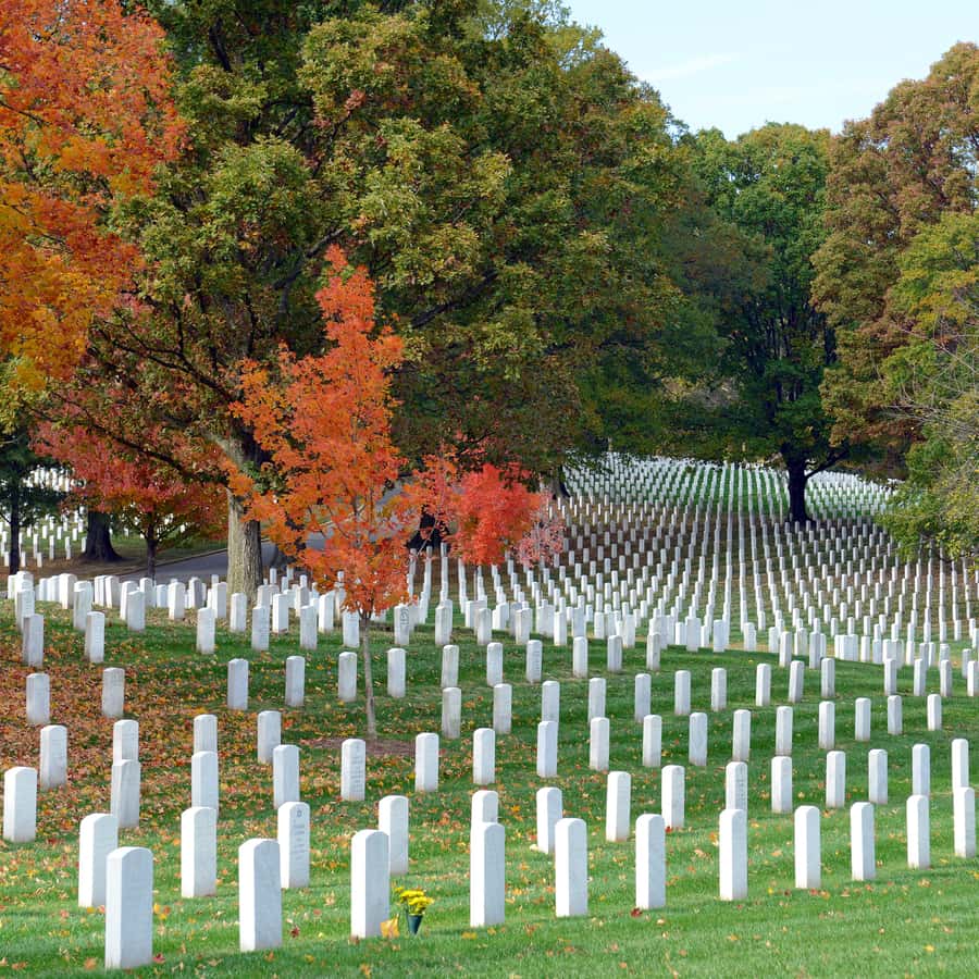 DC: Hop-On Hop-Off with 17 Stops plus Arlington Walking Tour Hotels Booking Trips