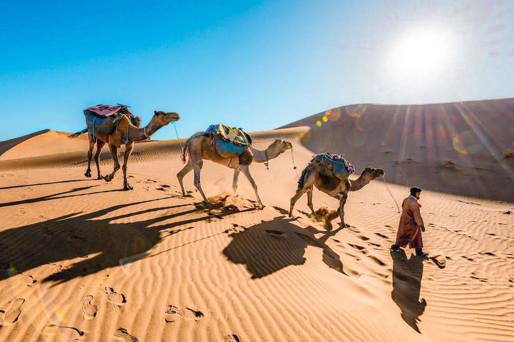 From Fes to Marrakech: 3-Day Sahara Desert Discovery Tour Hotels Booking Trips