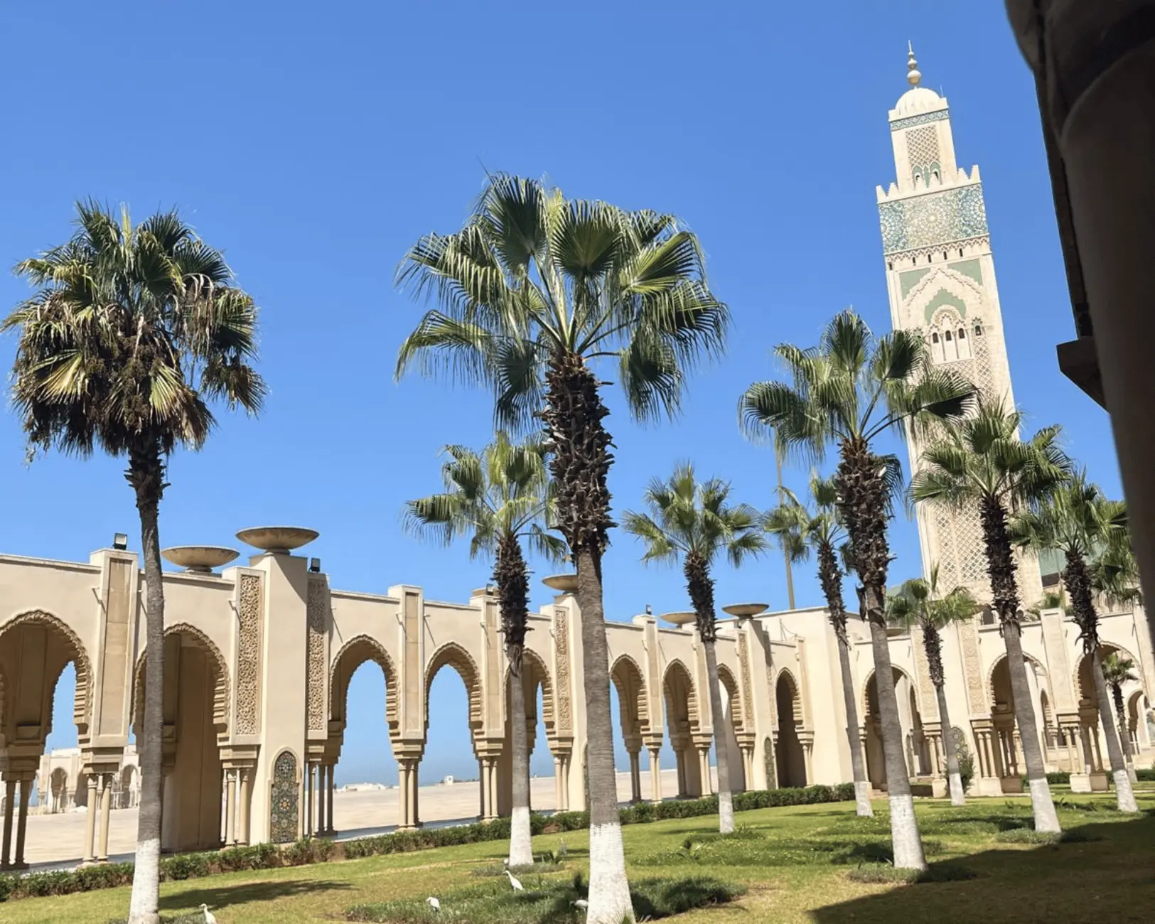 From Marrakech: Casablanca Tour with Hassan II Mosque Visit Hotels Booking Trips