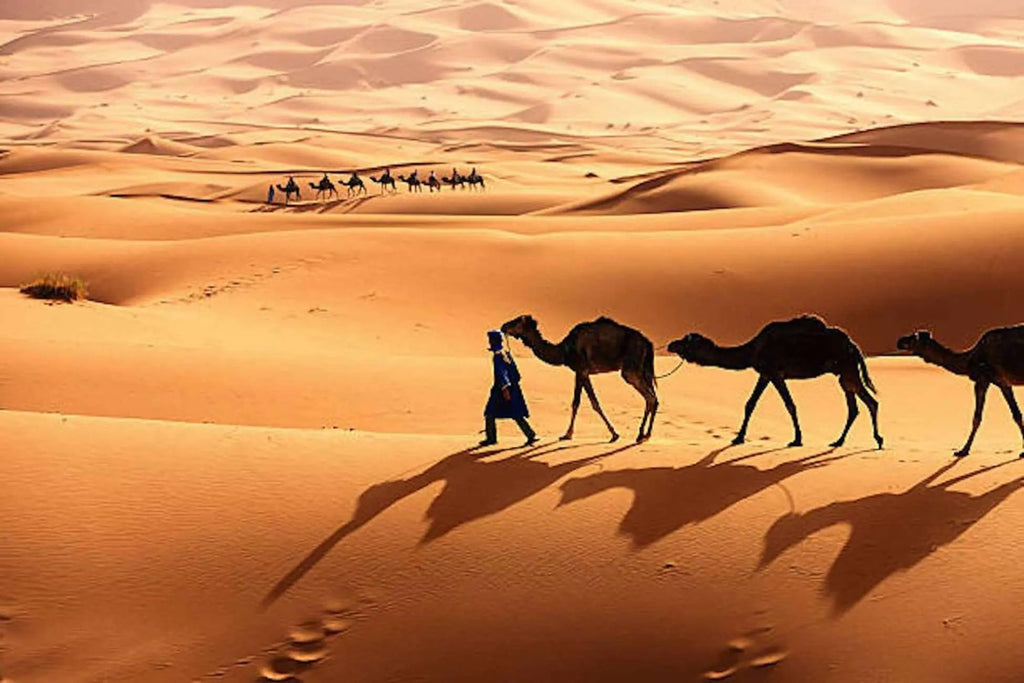 From Fes to Marrakech: 3-Day Sahara Desert Discovery Tour Hotels Booking Trips