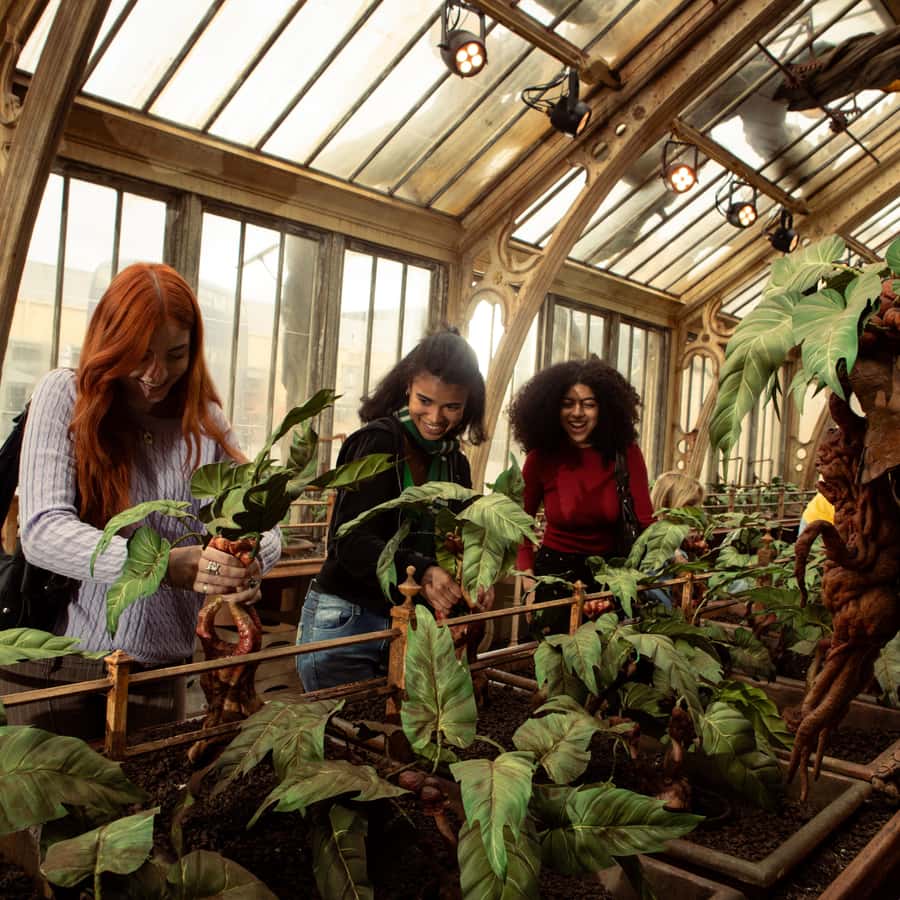 London Warner Bros Studio Harry Potter Tour & Branded Bus 