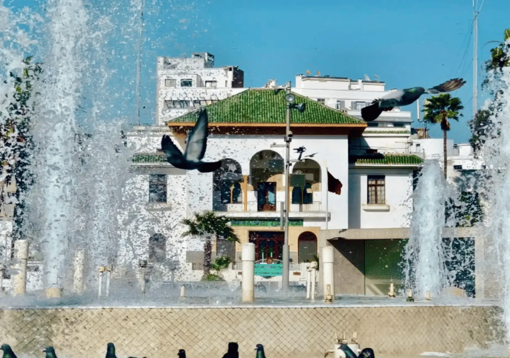 From Marrakech: Casablanca Tour with Hassan II Mosque Visit Hotels Booking Trips