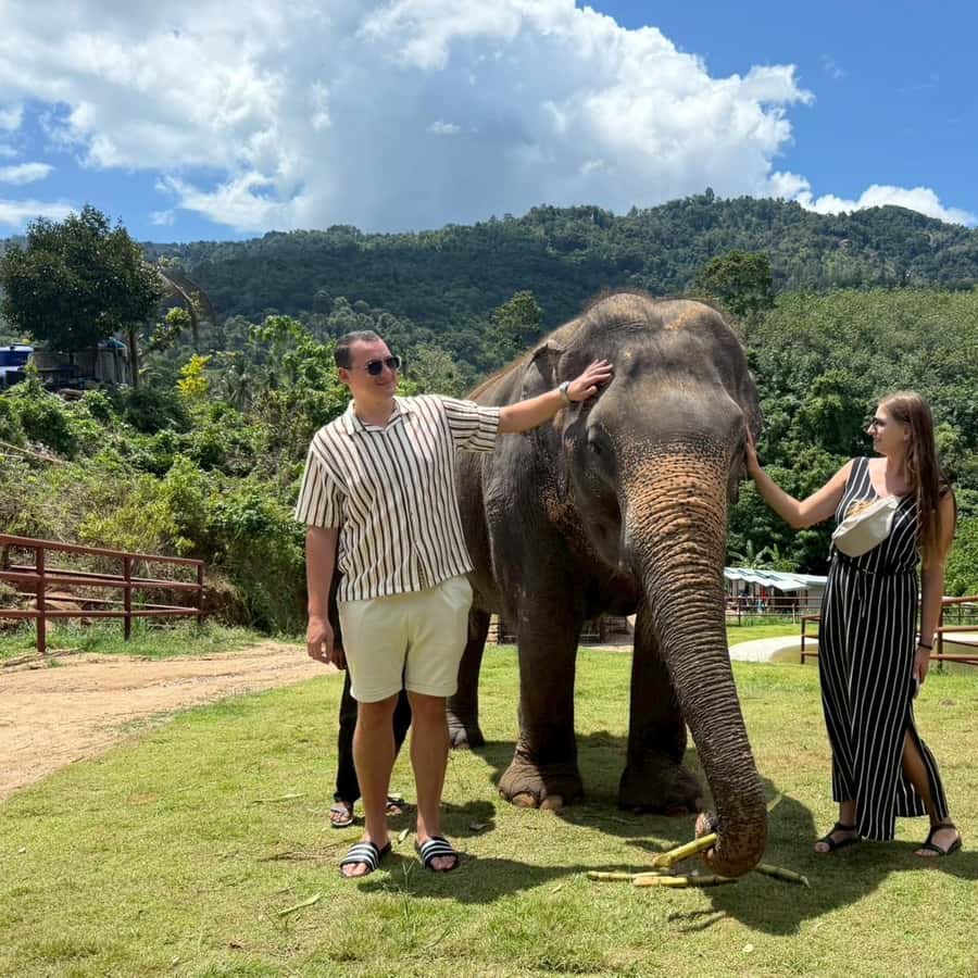 Koh Samui: Half-Day Island Highlights Tour with Hotel Pickup Hotels Booking Trips