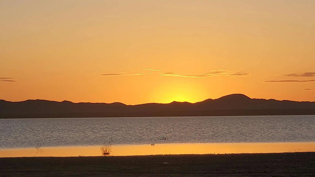 Merzouga: Erg Chebbi Dunes 4x4 Desert Tour Hotels Booking Trips