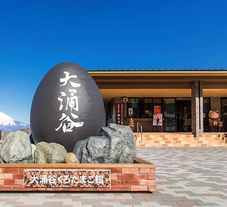 Tokyo: Mt. Fuji Tour, Hakone Ropeway, Owakudani, Lake Ashi Hotels Booking Trips