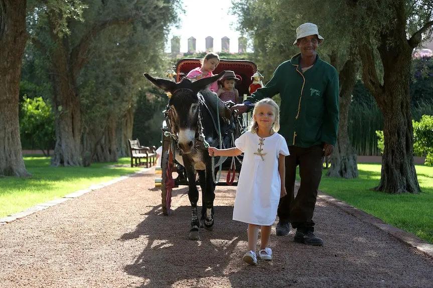 La Mamounia hotel Marrakech Morocco Booking hotels accommodation trip