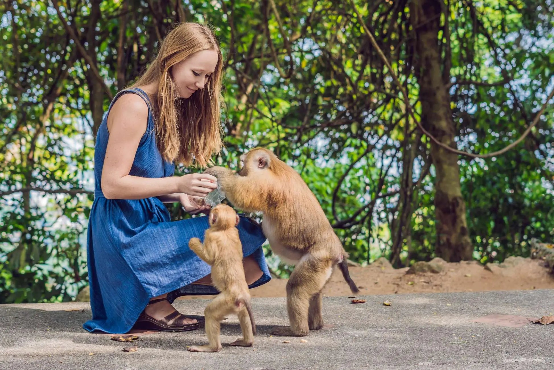 From Marrakech 3 Day Sahara Desert Adventure to Fes 