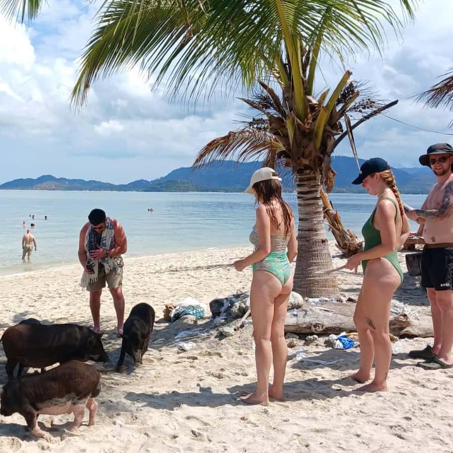 Koh Samui: Island Hopping Adventure in Coral and Pig Island Hotels Booking Trips