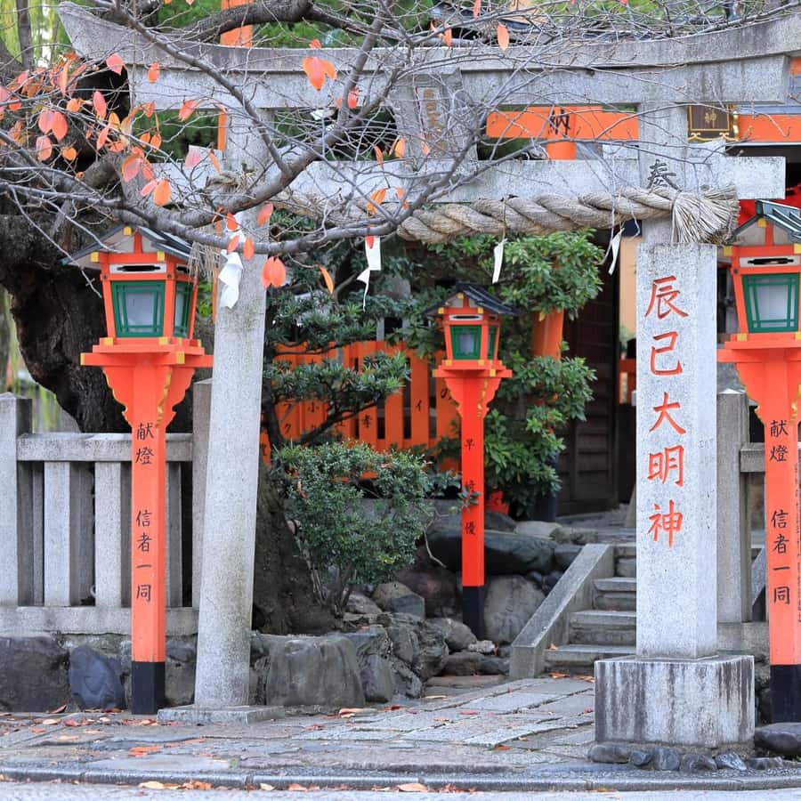 Kyoto: Gion Geisha District & Hidden Gems Walking Tour Hotels Booking Trips