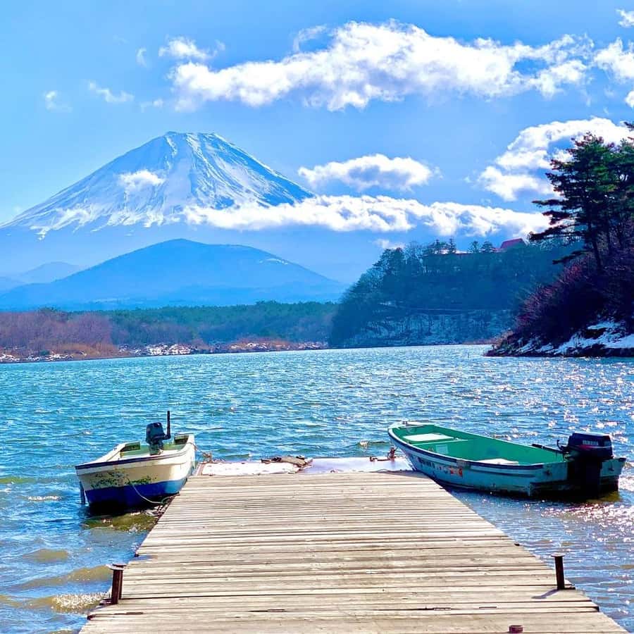Tokyo: Mt. Fuji Tour, Hakone Ropeway, Owakudani, Lake Ashi Hotels Booking Trips