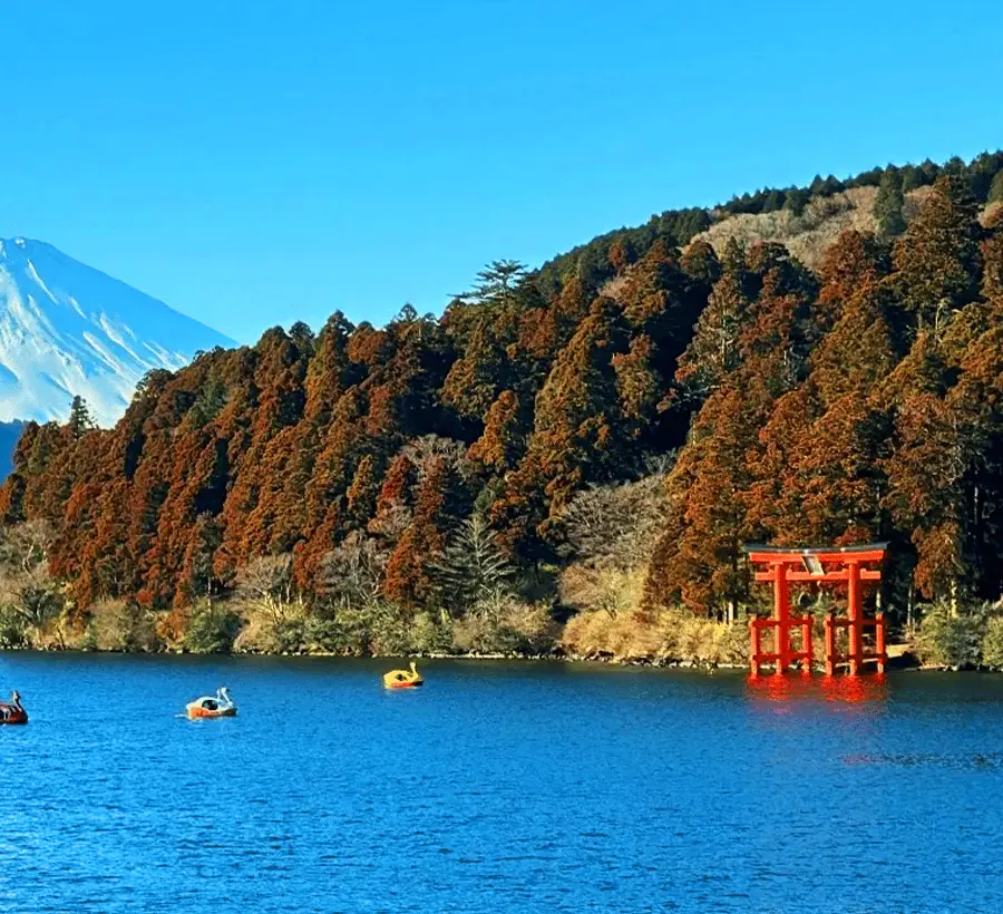 Tokyo: Mt. Fuji Tour, Hakone Ropeway, Owakudani, Lake Ashi Hotels Booking Trips