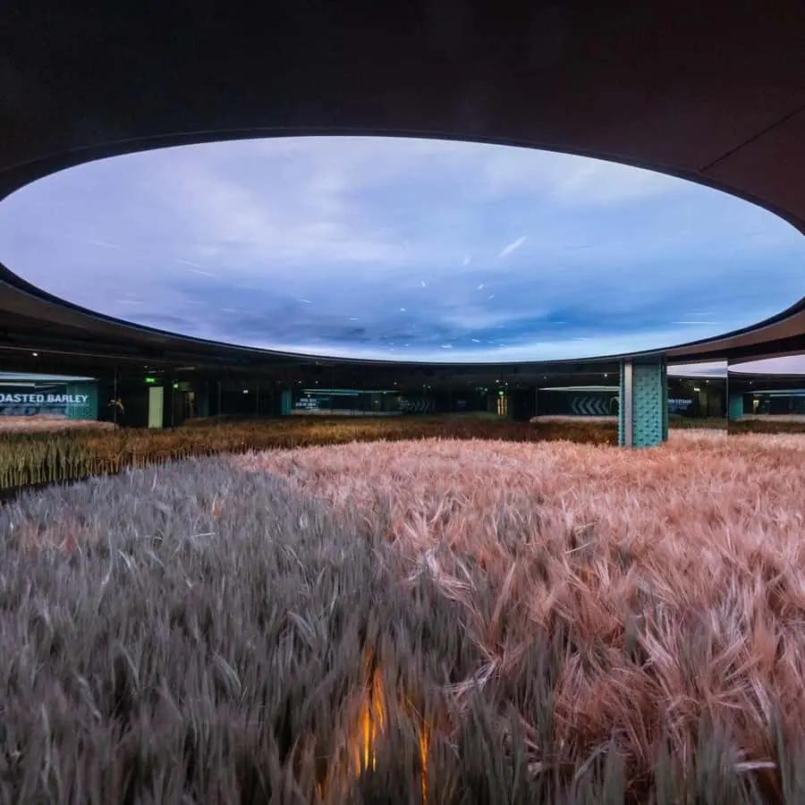 Dublin: Guinness Storehouse Entry Ticket Hotels Booking Trips