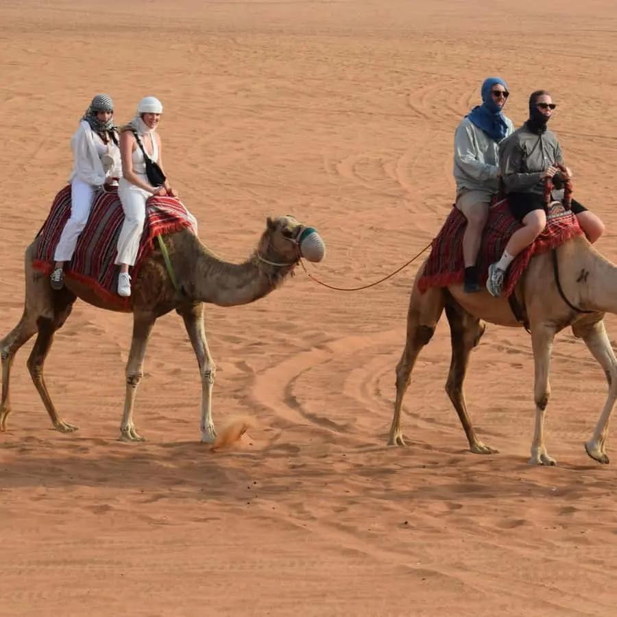 Dubai: Desert Safari, Quad Bike, Camel Ride and Sandboarding Hotels Booking Trips