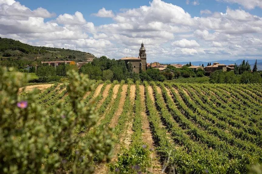 Villa de Abalos Hotels Booking Trips