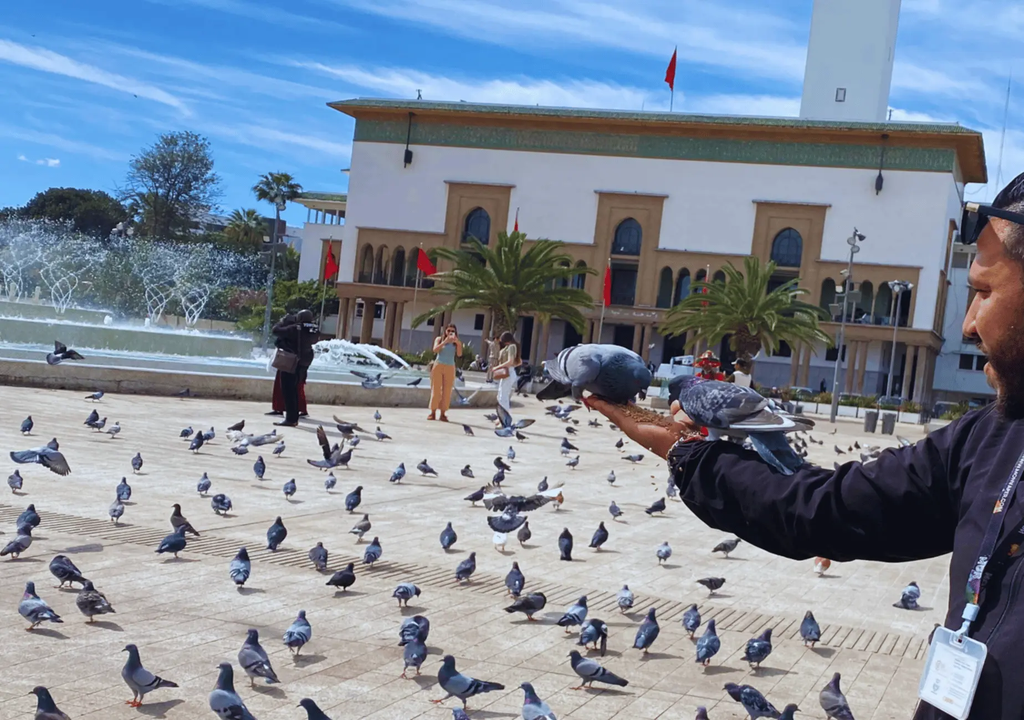 From Marrakech: Casablanca Tour with Hassan II Mosque Visit Hotels Booking Trips