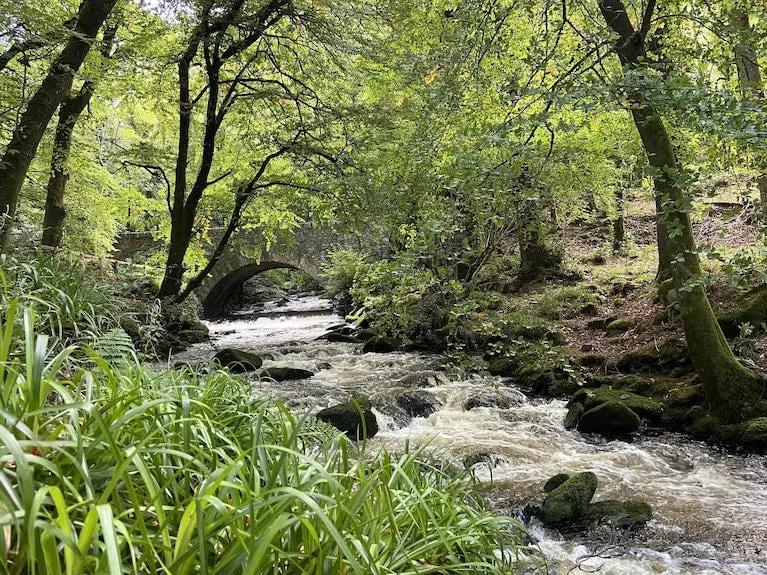 The International Hotel Killarney Booking hotels accommodation trip