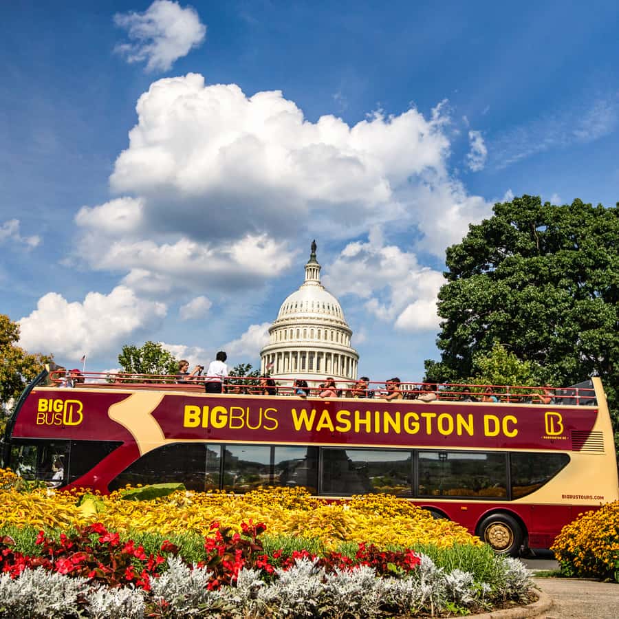 DC: Hop-On Hop-Off with 17 Stops plus Arlington Walking Tour Hotels Booking Trips