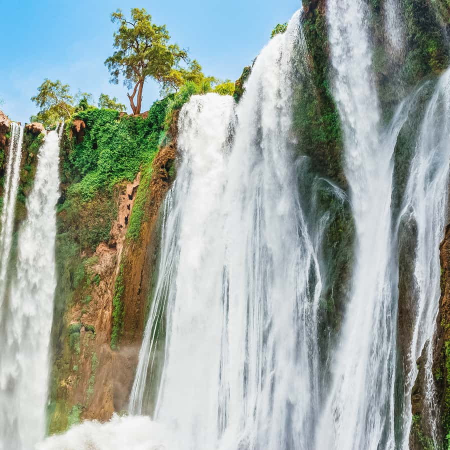 From Marrakech: Ouzoud Waterfalls Guided Hike and Boat Trip Hotels Booking Trips