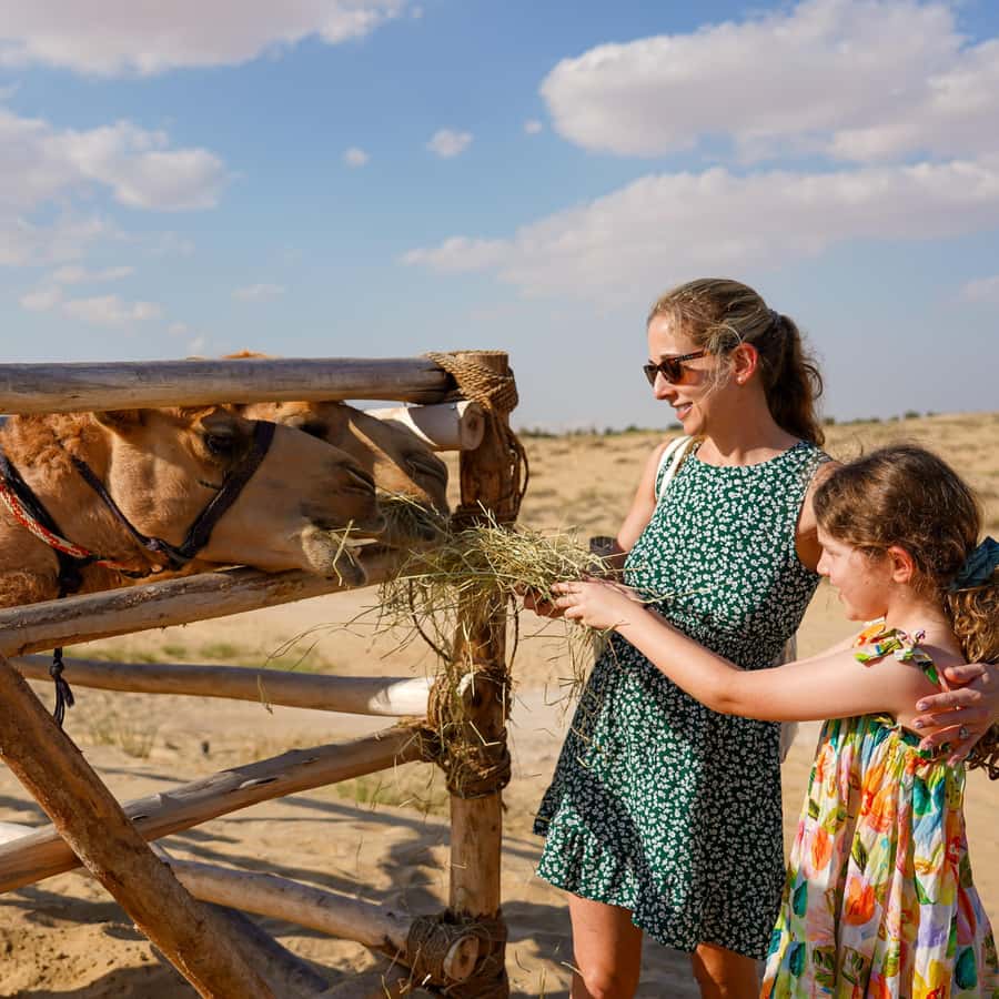 Dubai: Desert Safari, Quad Bike, Camel Ride & Al Khayma Camp Hotels Booking Trips