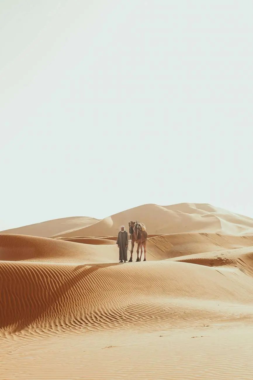 From Marrakech: 3-Day Sahara Tour with Private tent & Meals Hotels Booking Trips