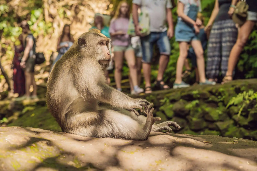 From Marrakech 3 Day Sahara Desert Adventure to Fes 