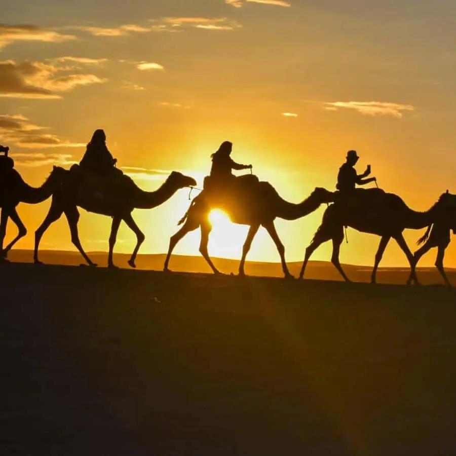 Marrakech: Agafay Desert Sunset, Camel Ride, and Dinner Show Hotels Booking Trips