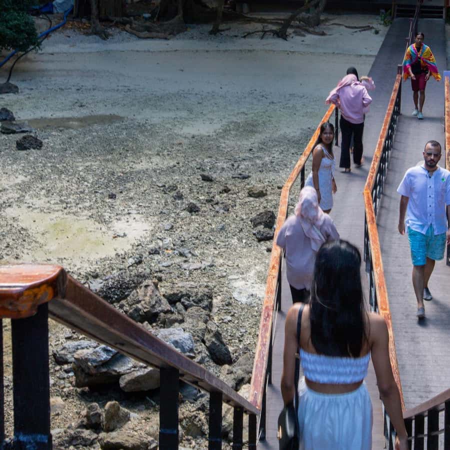From Phi Phi Half Day Longtail Boat Tour with Snorkeling 
