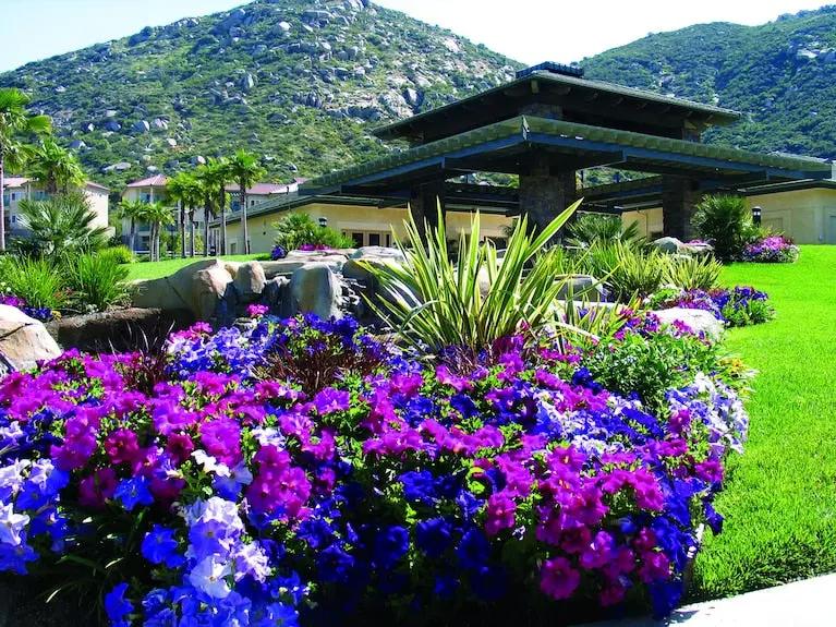 Hyatt Vacation Club at The Welk San Diego Area Hotels Booking Trips