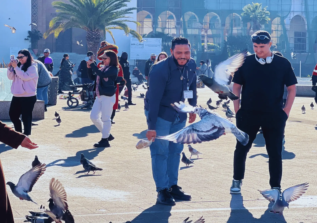 From Marrakech: Casablanca Tour with Hassan II Mosque Visit Hotels Booking Trips