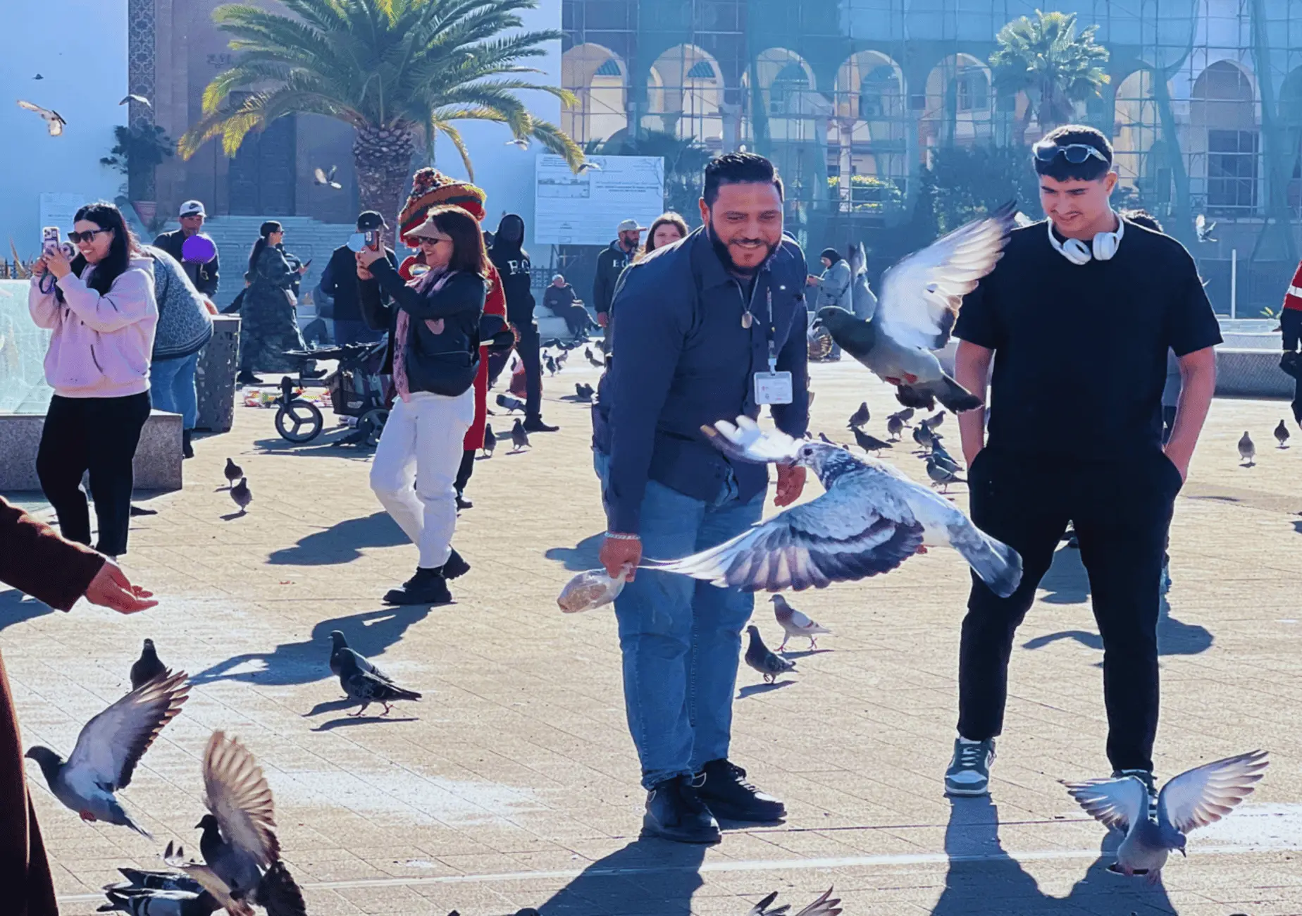 From Marrakech: Casablanca Tour with Hassan II Mosque Visit Hotels Booking Trips