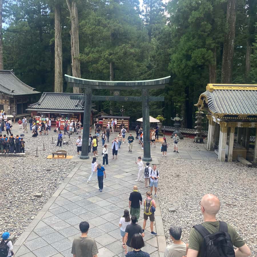 Nikko: Kegon Falls, Lake Chuzenji & Toshogu Temple Hotels Booking Trips